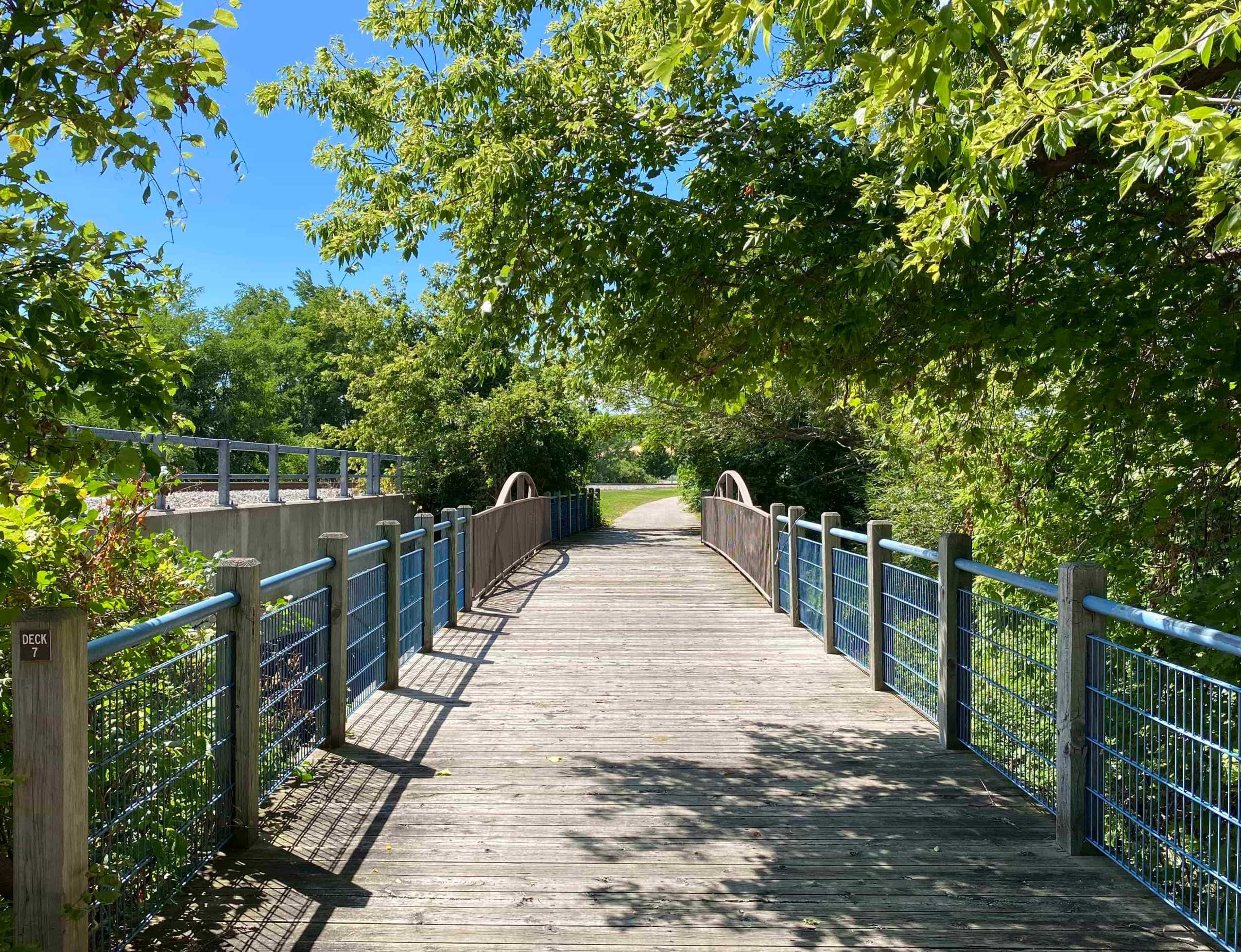 Lakeshore Trail